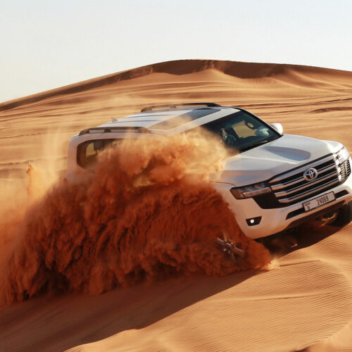 DUNE BASHING