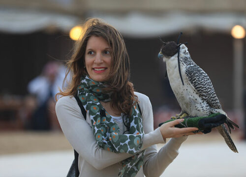 FALCON SHOW