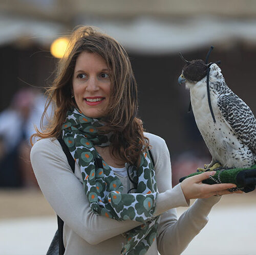 FALCON SHOW