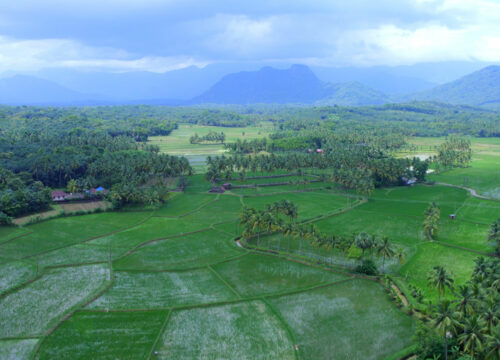 Palakkad: Gateway to Kerala's Green Haven